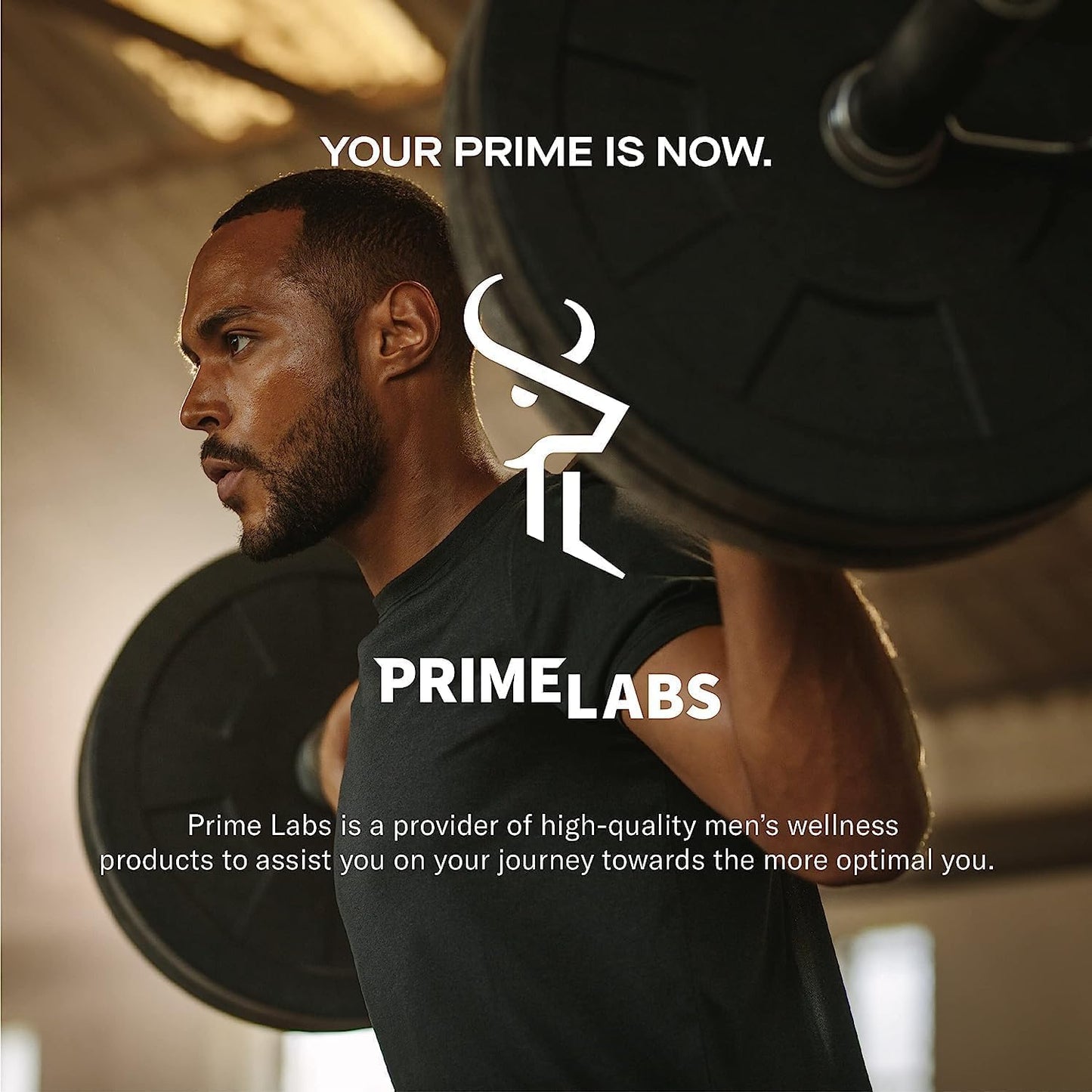 Prime Labs Creatine HCl Capsules - with CON-CRĒT®, Rhodiola Root Extract, & L-Theanine - Muscle Support, Endurance, Cognitive Function - for Men & Women - 60 Pills