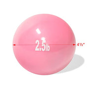 Trademark Innovations Weighted Toning Exercise Ball - Set of 2