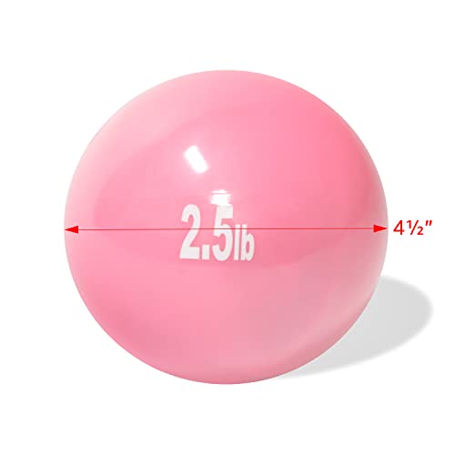 Trademark Innovations Weighted Toning Exercise Ball - Set of 2