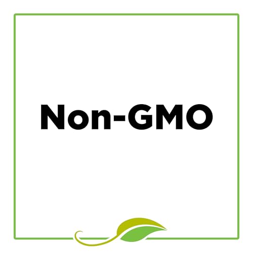 McCormick Gourmet Organic Ground Turmeric, 1.37 Oz