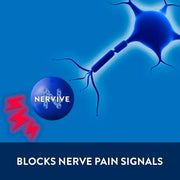 Nervive Nerve Care, Pain Relieving Large Spray, Max Strength No-Mess Topical Pain Reliever with Lidocaine and Menthol for Toes, Feet, Fingers, Hands, Legs & Arms, 4.5oz