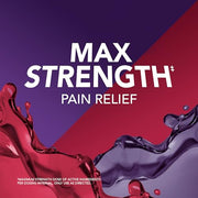 Vicks PainQuil & PainQuil PM Pain Relief Liquid, 1000mg Acetaminophen, 2x12 oz