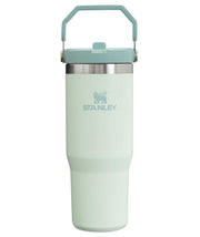 Stanley IceFlow 2.0 Flip Straw Tumbler with Handle 30 oz | Twist On Lid and Flip Up Straw | Leakproof Water Bottle | Insulated Stainless Steel | BPA-Free | Prickly Pear