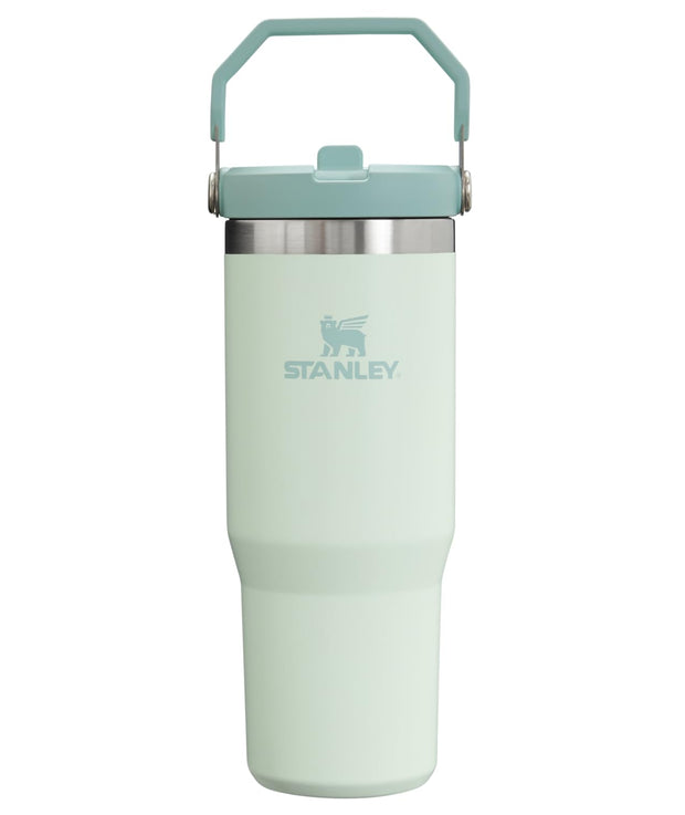 Stanley IceFlow 2.0 Flip Straw Tumbler with Handle 30 oz | Twist On Lid and Flip Up Straw | Leakproof Water Bottle | Insulated Stainless Steel | BPA-Free | Prickly Pear