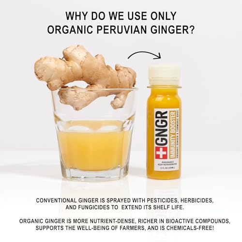 +GNGR Immunity Booster Organic Ginger and Turmeric Shot - Cold Pressed Ginger Shots with Turmeric, Cayenne Pepper, Orange, Lemon for All Natural Immune & Digestive Support (2 Oz, Pack of 12)