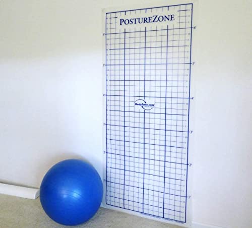 Posture Grid for Posture Assessment - Wall Mount with 90 min Online Pro Course