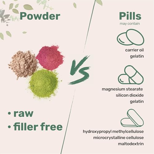 Micro Ingredients Organic Lion’s Mane Mushroom Powder, 16oz | Pure Fruiting Body Superfood | Supports Brain, Focus, Energy & Immune Health | Great for Smoothies & Coffee | Filler Free, Vegan, Non-GMO