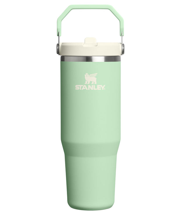 Stanley IceFlow 2.0 Flip Straw Tumbler with Handle 30 oz | Twist On Lid and Flip Up Straw | Leakproof Water Bottle | Insulated Stainless Steel | BPA-Free | Prickly Pear