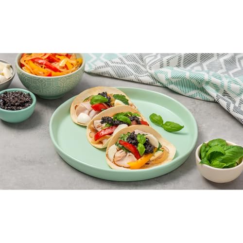Mission Foods Zero Net Carb Flour Tortilla