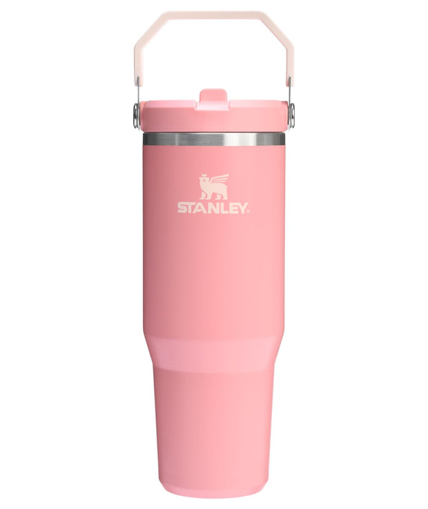 Stanley IceFlow 2.0 Flip Straw Tumbler with Handle 30 oz | Twist On Lid and Flip Up Straw | Leakproof Water Bottle | Insulated Stainless Steel | BPA-Free | Prickly Pear
