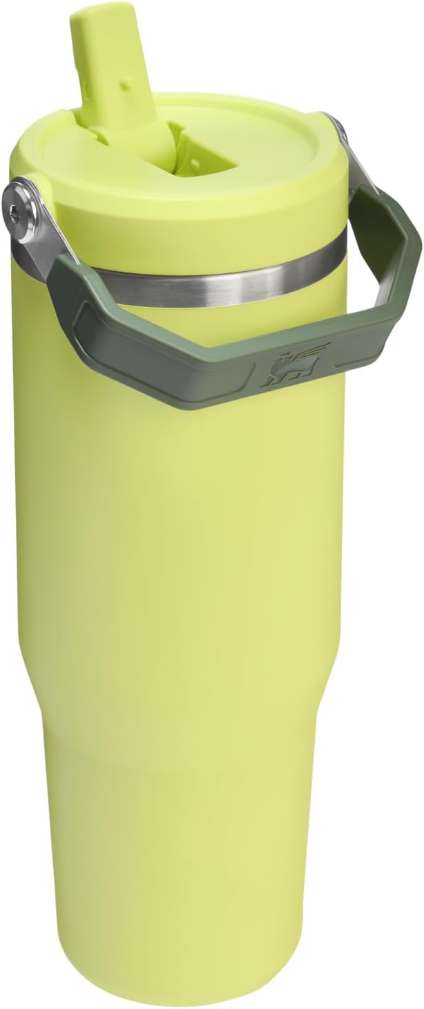 Stanley IceFlow 2.0 Flip Straw Tumbler with Handle 30 oz | Twist On Lid and Flip Up Straw | Leakproof Water Bottle | Insulated Stainless Steel | BPA-Free | Prickly Pear
