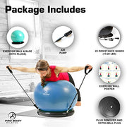ProBody Pilates Yoga Ball Chair, Exercise Ball Chair with Base or Stand for Home Office Desk Sitting or Workout, 65cm Antiburst Balance & Stability Ball Seat, Large Gym Ball for Back, Abs