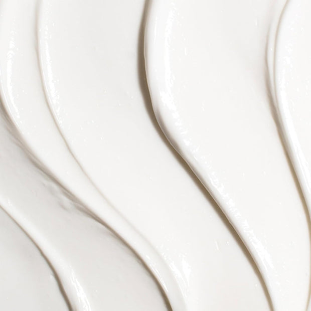 TATCHA Revitalizing Neck Cream | Hydrate, Smooth & Nourish Delicate Skin on Neck and Décolletage, 50 ml | 1.7 oz