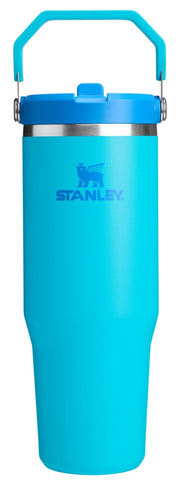 Stanley IceFlow 2.0 Flip Straw Tumbler with Handle 30 oz | Twist On Lid and Flip Up Straw | Leakproof Water Bottle | Insulated Stainless Steel | BPA-Free | Prickly Pear