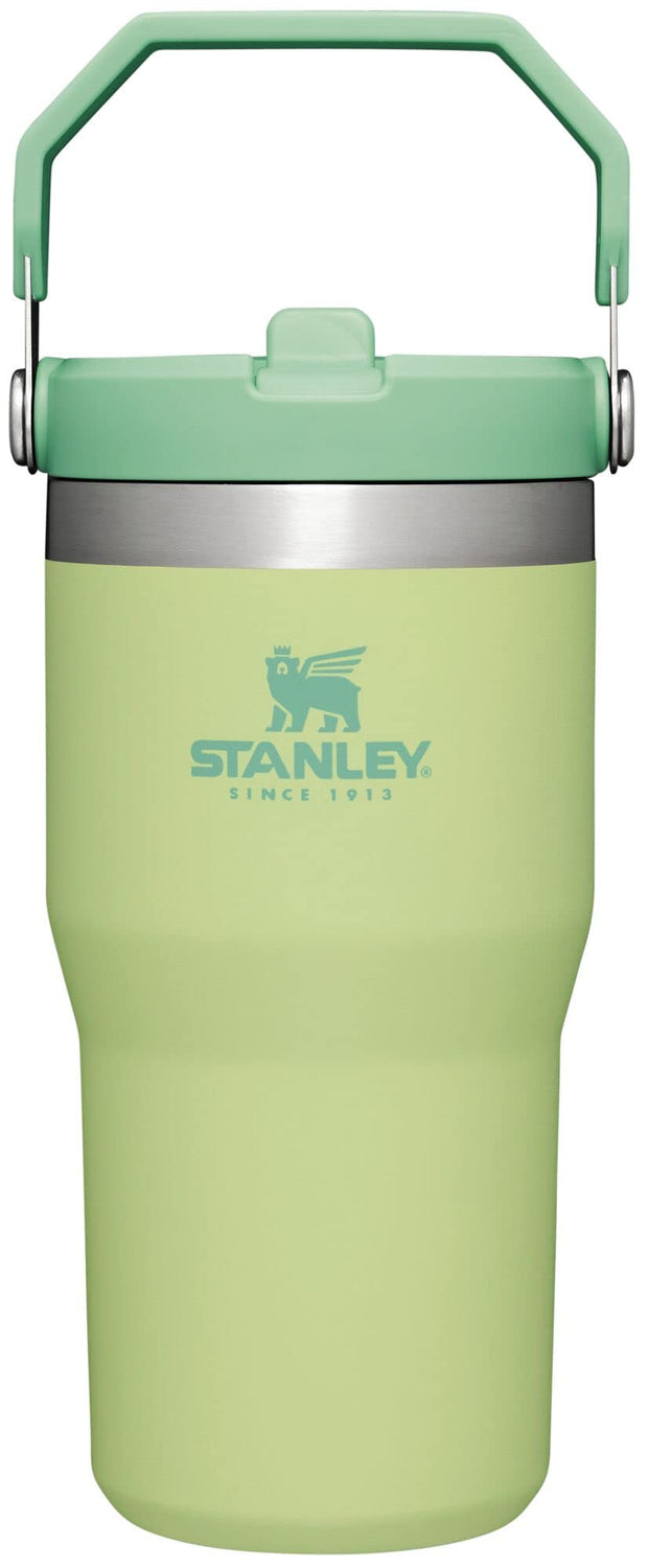 Stanley IceFlow 2.0 Flip Straw Tumbler with Handle 30 oz | Twist On Lid and Flip Up Straw | Leakproof Water Bottle | Insulated Stainless Steel | BPA-Free | Prickly Pear