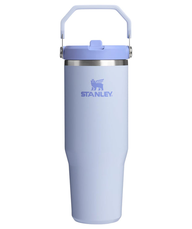 Stanley IceFlow 2.0 Flip Straw Tumbler with Handle 30 oz | Twist On Lid and Flip Up Straw | Leakproof Water Bottle | Insulated Stainless Steel | BPA-Free | Prickly Pear