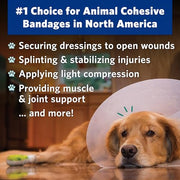 PetFlex No Chew – Flexible Self-Adhering Elastic Bandage for Wound Care – First Aid Wrap for Small Animals Like Dogs, Cats, and Other Pets - 2 inch, 2 Rolls