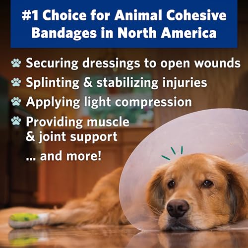 PetFlex No Chew – Flexible Self-Adhering Elastic Bandage for Wound Care – First Aid Wrap for Small Animals Like Dogs, Cats, and Other Pets - 2 inch, 2 Rolls