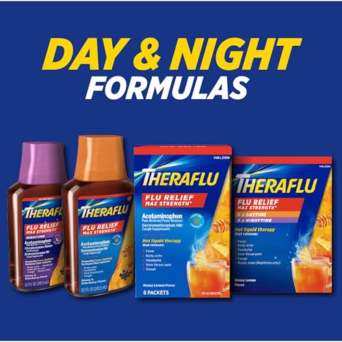 Theraflu Max Strength Daytime Flu Symptom Relief - 6 Ct Plus Max Strength Nighttime Flu Medicine for Flu Symptom Relief - 6 Ct Combo, 12 Count (Pack of 1)