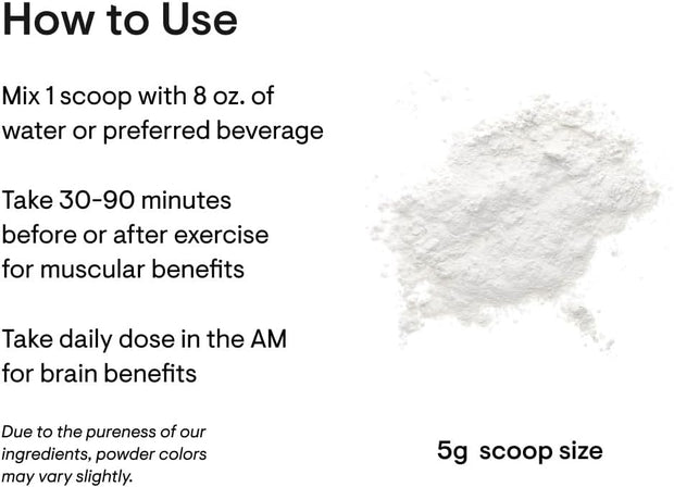 THORNE Creatine - Micronized Creatine Monohydrate Powder, Amino Acid Support for Muscles, Cellular Energy & Cognitive Function* - Unflavored - NSF Certified for Sport - 5 g per Serving - 90 Servings