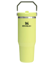 Stanley IceFlow 2.0 Flip Straw Tumbler with Handle 30 oz | Twist On Lid and Flip Up Straw | Leakproof Water Bottle | Insulated Stainless Steel | BPA-Free | Prickly Pear