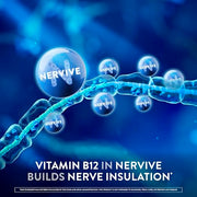 Nervive Nerve Health, with Alpha Lipoic Acid, to Fortify Nerve Health and Function in Fingers, Hands, Toes, & Feet*, and Support Healthy Circulation, ALA, Vitamins B12, B6, & B1, 30 Tablets