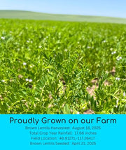 Palouse Brand Emergency Legume Bucket Supply | Certified Glyphosate Residue Free | 75 LBS | Chickpeas, Lentils and Green Split Peas [25 lbs each]