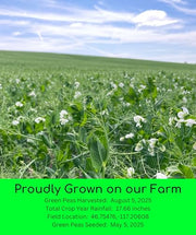 Palouse Brand Emergency Legume Bucket Supply | Certified Glyphosate Residue Free | 75 LBS | Chickpeas, Lentils and Green Split Peas [25 lbs each]