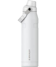 Stanley IceFlow Fast Flow Water Bottle | Angled Spout Lid | Lightweight & Leakproof for Travel & Sports | Insulated Stainless Steel | BPA-Free