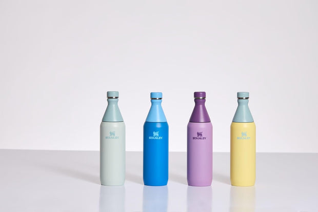 Stanley All Day Slim Bottle 20 oz | Twist On Lid with Leakproof Seal | Slim Design for Travel & Gym | Insulated Stainless Steel | BPA-Free | Lilac