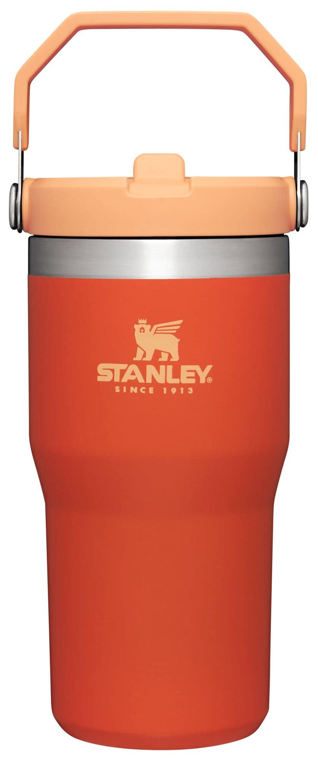 Stanley IceFlow 2.0 Flip Straw Tumbler with Handle 30 oz | Twist On Lid and Flip Up Straw | Leakproof Water Bottle | Insulated Stainless Steel | BPA-Free | Prickly Pear
