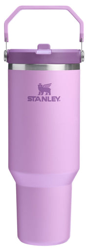 Stanley IceFlow 2.0 Flip Straw Tumbler with Handle 30 oz | Twist On Lid and Flip Up Straw | Leakproof Water Bottle | Insulated Stainless Steel | BPA-Free | Prickly Pear