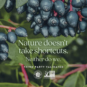 New Chapter Women’s Multivitamin Gummies - 66% Less Sugar, Women’s Gummy Vitamins with Vitamin C, D3 & Zinc, Non-GMO, Gluten Free, Berry-Citrus, 75ct