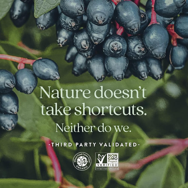 New Chapter Women’s Multivitamin Gummies - 66% Less Sugar, Women’s Gummy Vitamins with Vitamin C, D3 & Zinc, Non-GMO, Gluten Free, Berry-Citrus, 75ct