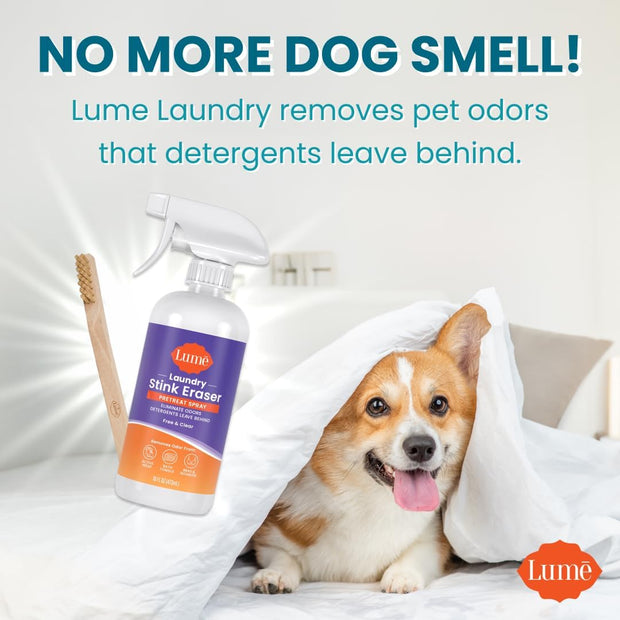 Lume Laundry Stink Eraser - Pretreat Spray & Laundry Brush - Eliminates Body Odor In Clothes - Odor Blasting Enzyme Blend - Makes Your Detergent Work Better - Free And Clear - 16 fluid ounces