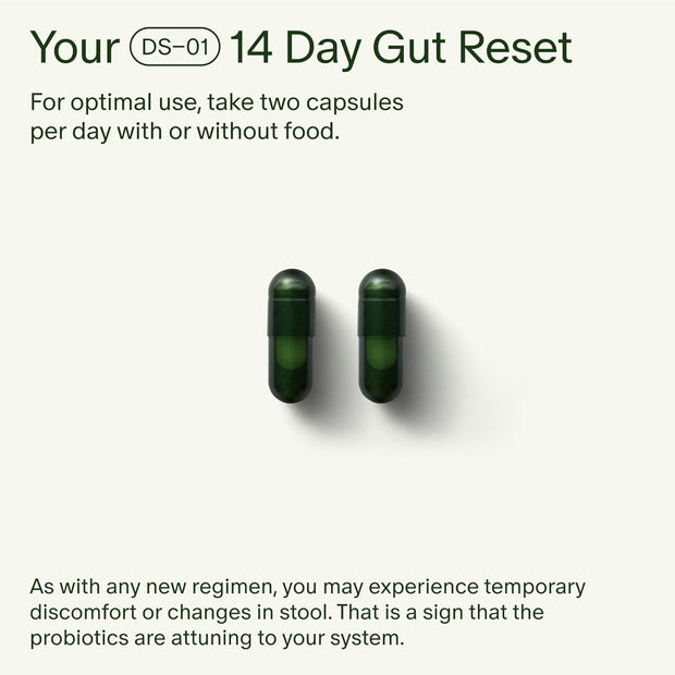 Seed 14 Day Gut Reset - Prebiotic and Probiotic for Women & Men - Digestive Health, Gut Health, Rapid Gut Recovery, Bloating & Constipation Relief - Vegan & Shelf-Stable - 28 Capsules (14-Day Supply)