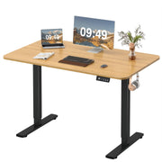 Furmax Electric Height Adjustable Standing Desk Large 55 x 24 Inches Sit Stand Up Desk Home Office Computer Desk Memory Preset with T-Shaped Metal Bracket, Black