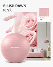 Trideer Yoga Ball – Anti-Burst Exercise Ball for Pregnancy, Office, Birthing, Stretching & Core Workout – Home Gym & Therapy