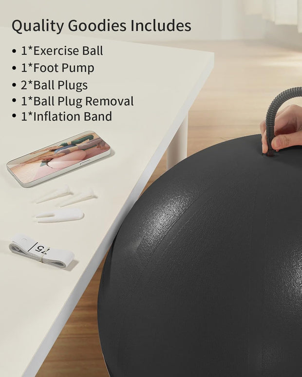 YOTTOY Anti-Burst Exercise Ball for Working Out, Yoga & Pregnancy, Extra Thick Workout Ball for Physical Therapy & Fitness