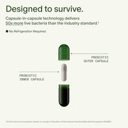 Seed DS-01 Daily Synbiotic - Prebiotic and Probiotic for Women & Men - Digestive Health, Gut Health, Immune Support, Bloating & Constipation Relief - Vegan & Shelf-Stable - 60 Capsules (30-Day Supply)