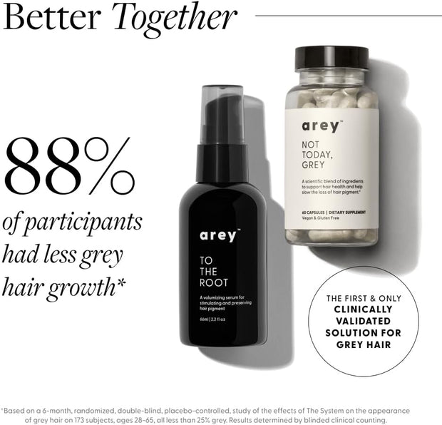 Not Today, Grey Daily Hair Supplement | Slows Grey Hair Growth & Repigment | Promotes Healthier, Thicker Hair | Biotin, B +D Vitamins & Proprietary Complex | Vegan & Gluten Free (3 Month Supply)