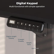 4 Legs Standing Desk, Large 79x31 Inches Electric Adjustable Height Desk with Splice Board, Stand Up Desk Home Office Computer Workstation, Black