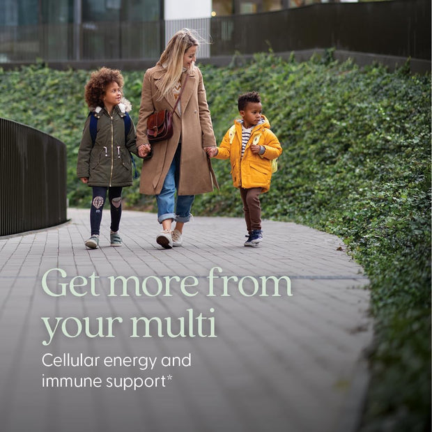 New Chapter Women’s Multivitamin Gummies - 66% Less Sugar, Women’s Gummy Vitamins with Vitamin C, D3 & Zinc, Non-GMO, Gluten Free, Berry-Citrus, 75ct