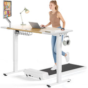 SIAGO Electric Standing Desk Adjustable - 48 x 24 Inch Sit Stand up Desk with Cable Management - 3 Memory Preset Adjustable Height Table
