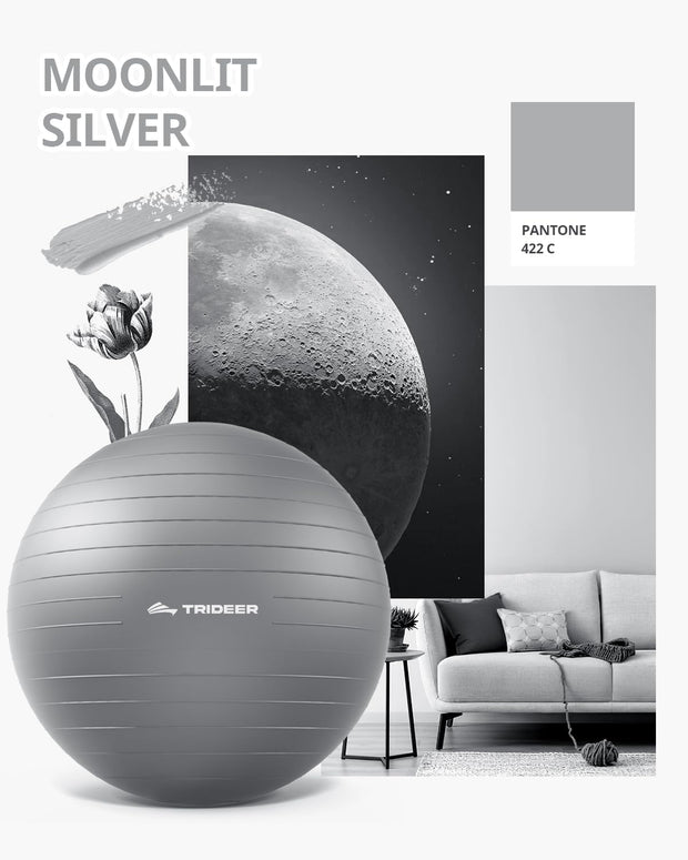 Trideer Yoga Ball – Anti-Burst Exercise Ball for Pregnancy, Office, Birthing, Stretching & Core Workout – Home Gym & Therapy