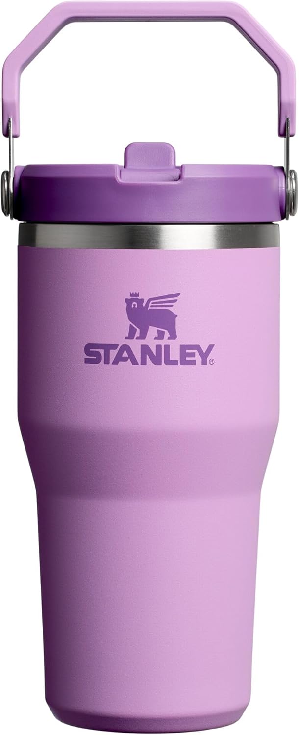 Stanley IceFlow 2.0 Flip Straw Tumbler with Handle 20 oz | Twist On Lid and Flip Up Straw | Leak Resistant Water Bottle | Insulated Stainless Steel | BPA-Free | Lilac