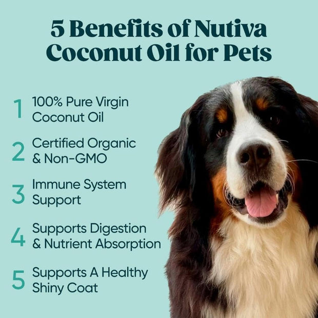 Nutiva, Organic Coconut Oil, 15 Fl Oz