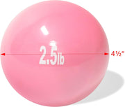 Trademark Innovations Weighted Toning Exercise Ball - Set of 2