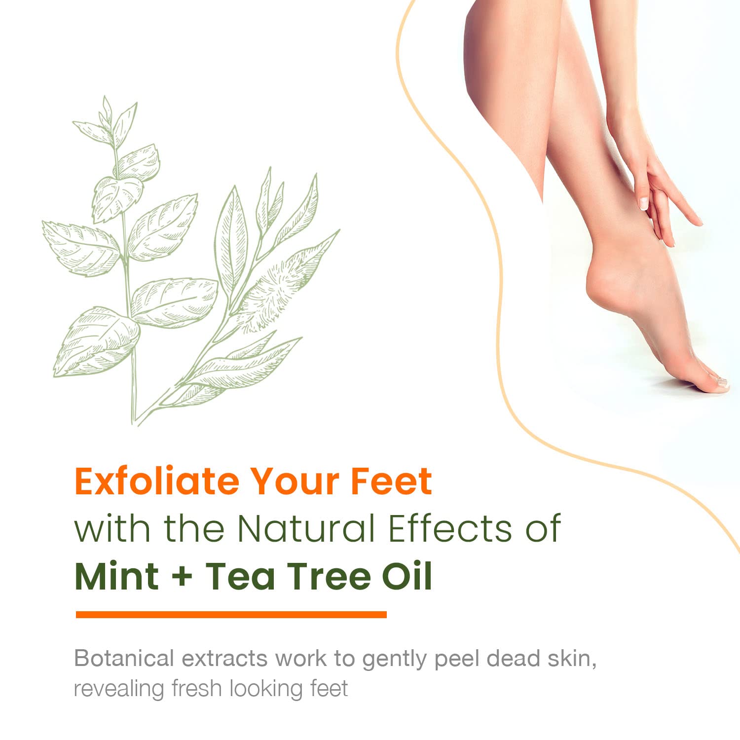 Mint & Tea Tree Foot Masks Moisturizing Socks - Soften Dry Cracked Feet, Removes Dead Skin Cells - Dermatologist Tested, Cruelty Free Korean Skin Care For All Skin Types - 3 Pairs