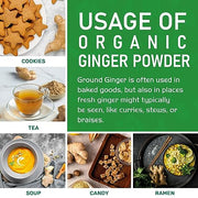 Jiva Organics Organic Ginger Root Powder 1 LB Jar - Gluten Free, Non-GMO - for Cooking, Baking, Tea & More - Bulk Ginger Ground Dry